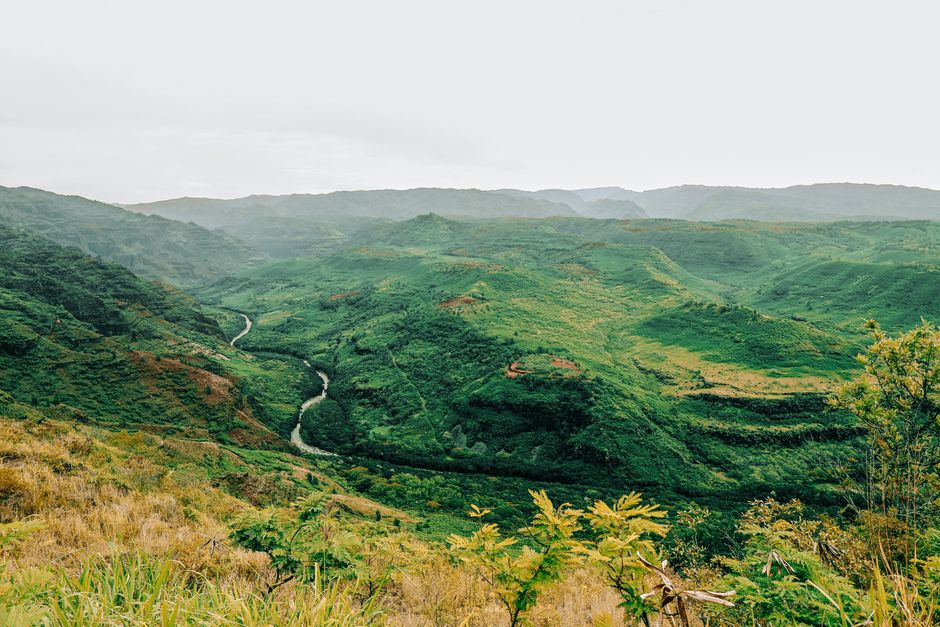 Photo by Caleb Lamb Explore the vibrant green landscapes of Waimea Canyon, Kauai, Hawaii.