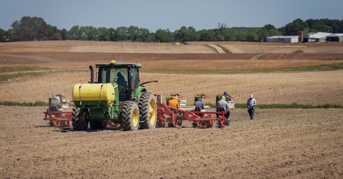 El papel de la agricultura en el crecimiento demográfico global y la civilización El papel de la agricultura en el crecimiento demográfico global y la civilización