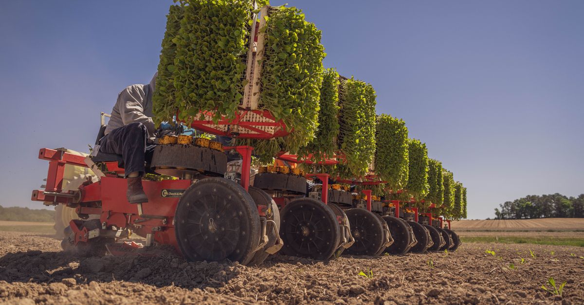 Guide Complet pour Choisir un Semoir Agricole Réussi