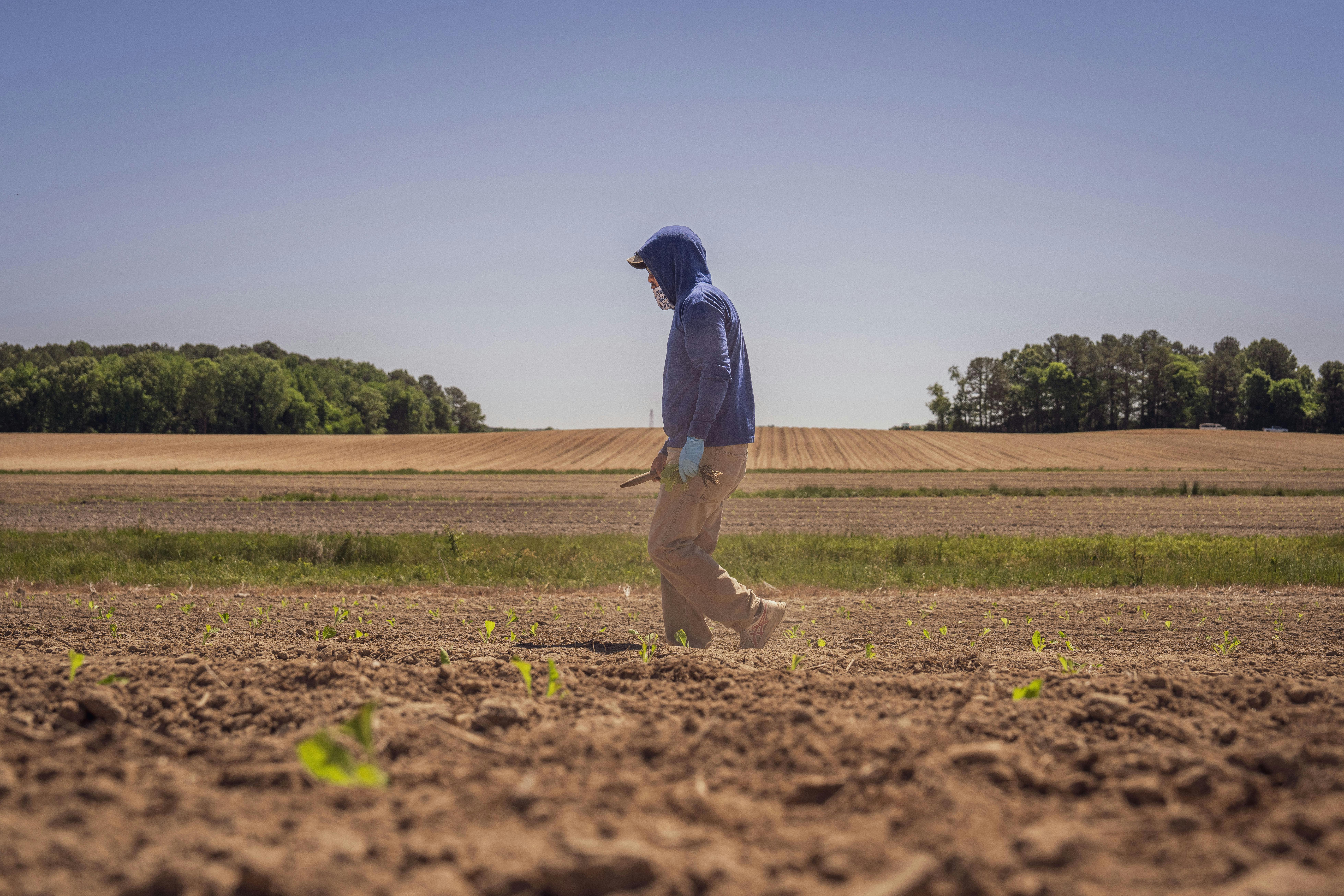 Farmers receives approval for new homeowners insurance rating plan in California — Photo by Mark Stebnicki on Pexels