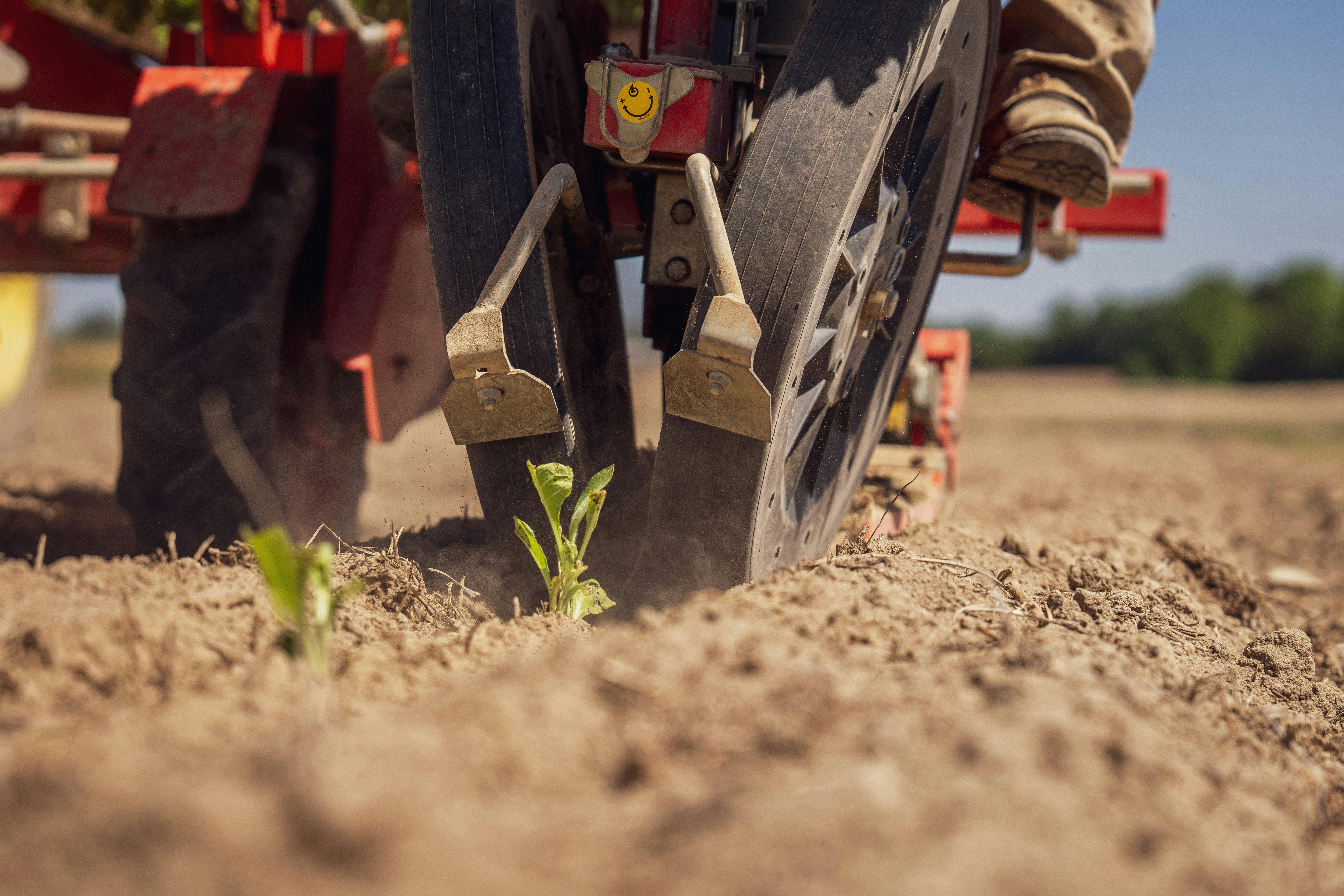 Tractor in field preparing soil for planting vegetables, close-up view with selective focus.