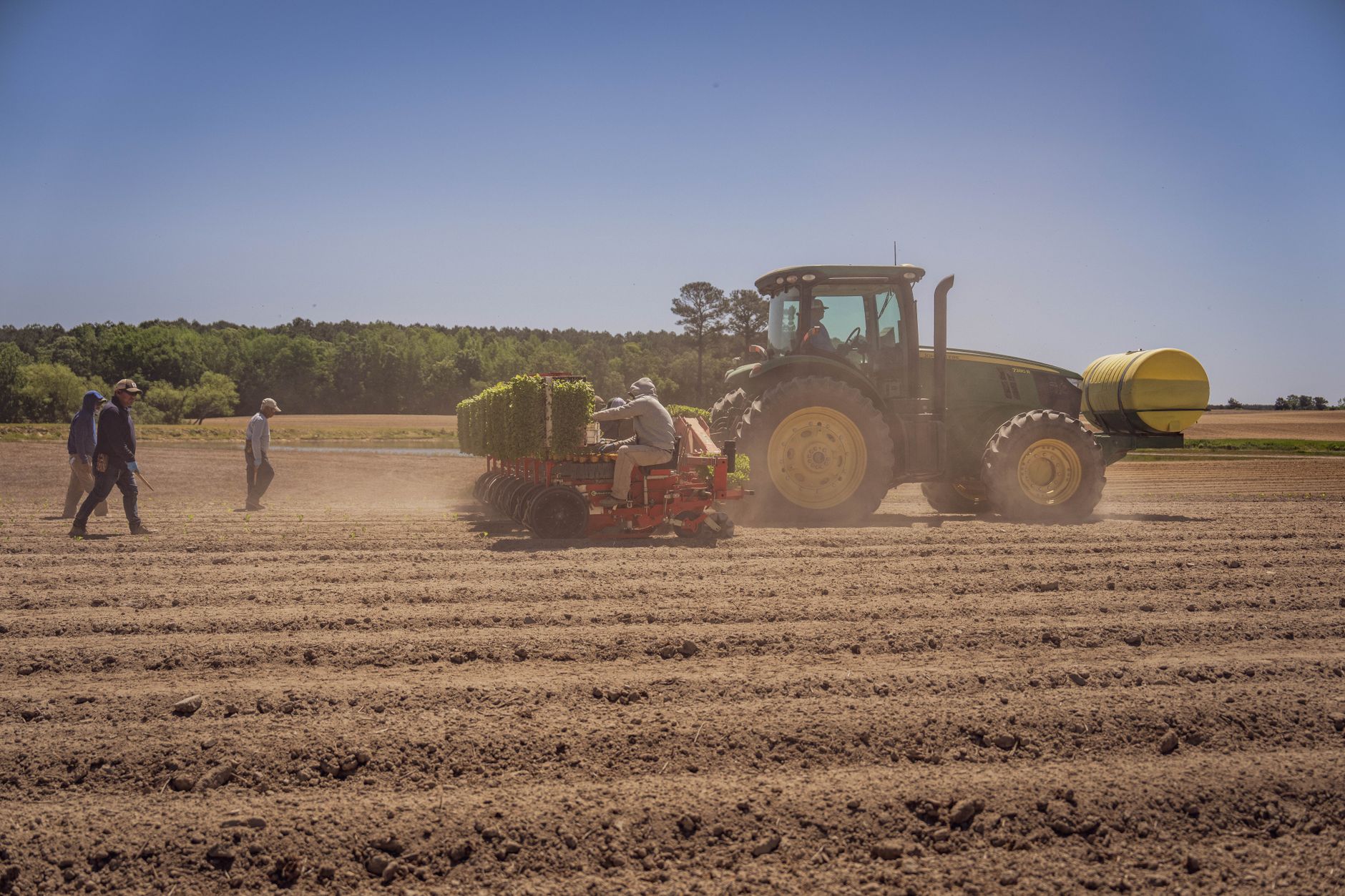 Capataz supervisando trabajadores en operaciones de campo agrícola