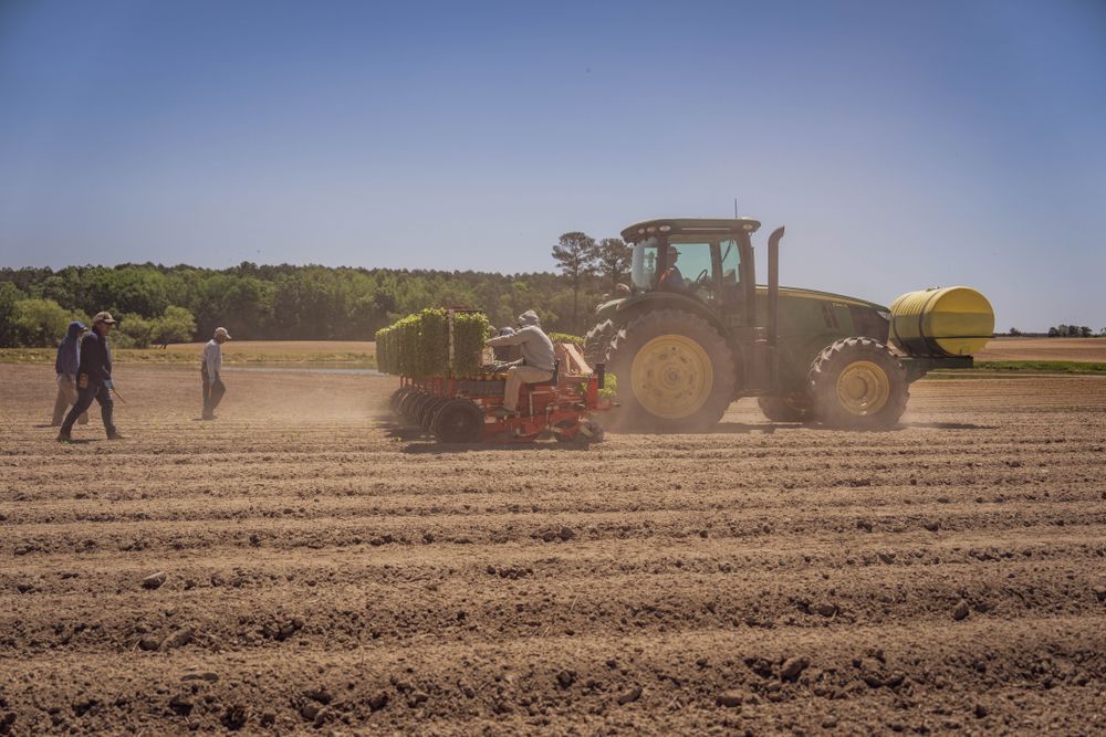 Redfield Farm & Cattle — Crop Production