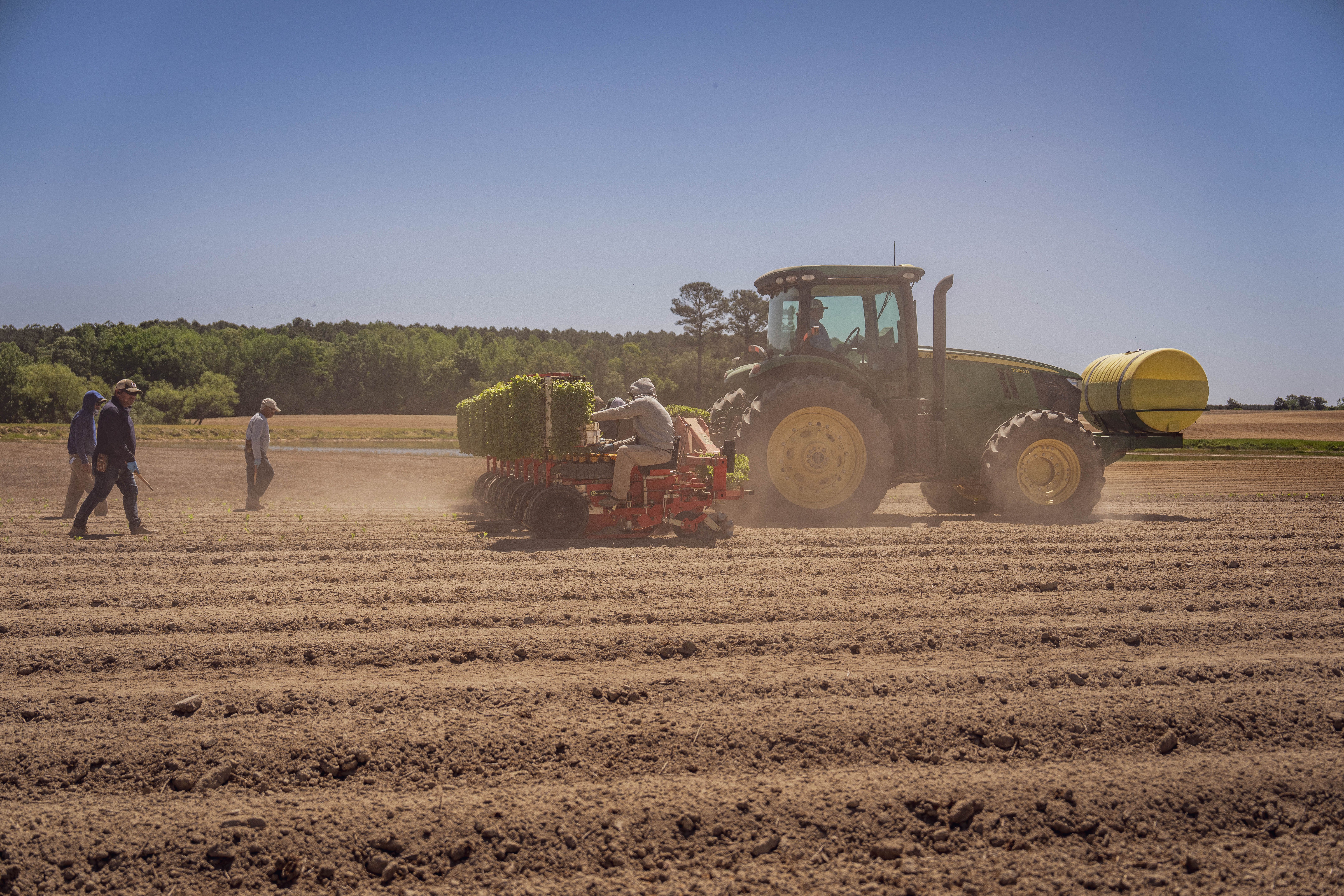 Tractor and Workers Planting in Spring Field · Free Stock Photo