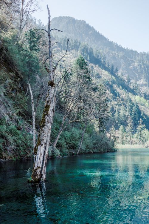 Free Crystal-clear lake with a mountainous backdrop in Sichuan, China, showcasing natural beauty. Stock Photo