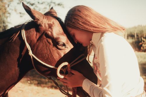 Free A touching scene of a girl bonding with a horse on a sunny day. Stock Photo