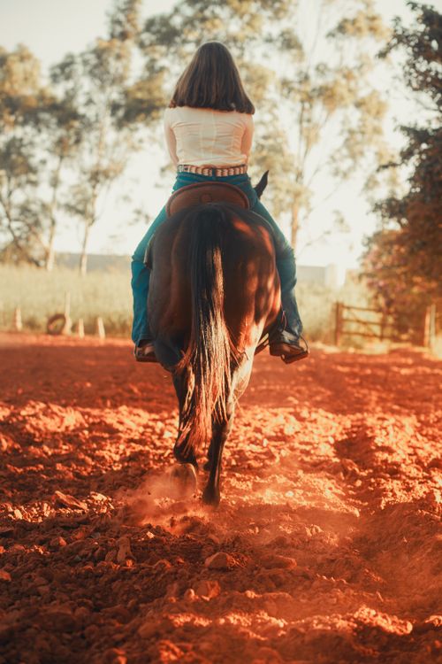 Free Woman horseback riding on a dirt trail surrounded by trees in a sunny landscape. Stock Photo