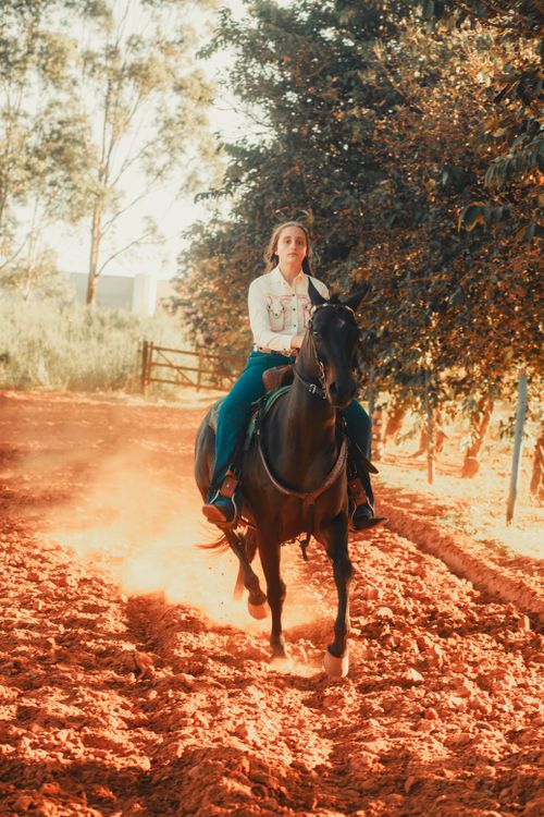 Free A woman riding a horse on a sunny, dusty trail with trees in the background. Stock Photo