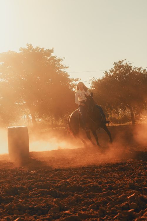 Free A rider guiding a horse around a barrel during a sunset, creating a dusty and dynamic scene. Stock Photo