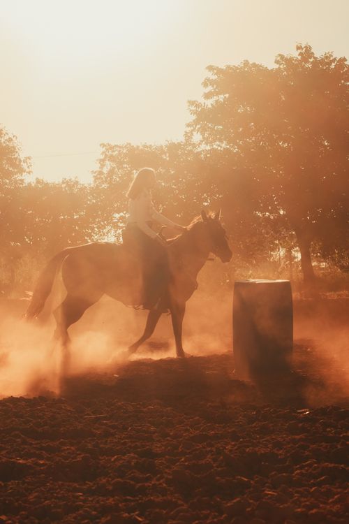 Free Rider on a horse navigating around a barrel in a dusty outdoor setting at sunset. Stock Photo