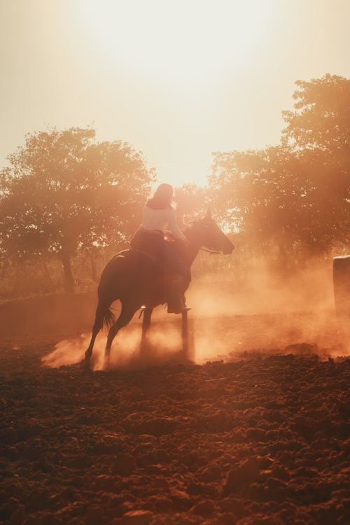 Free Silhouette of a horse rider in action under a vibrant sunset, kicking up dust on a rural trail. Stock Photo