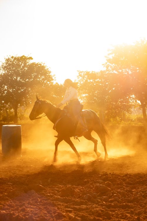 Free A person riding a horse through dusty fields at sunset with golden light. Stock Photo