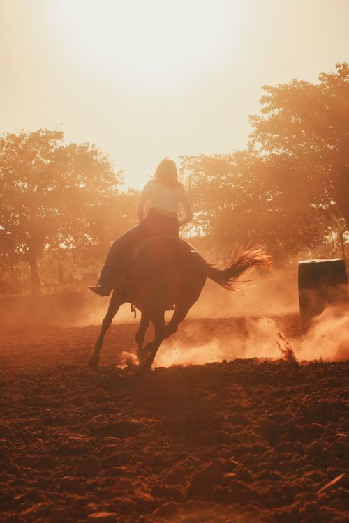 Free A rider on horseback gallops through a dusty arena at sunset, capturing a dynamic and moody scene. Stock Photo