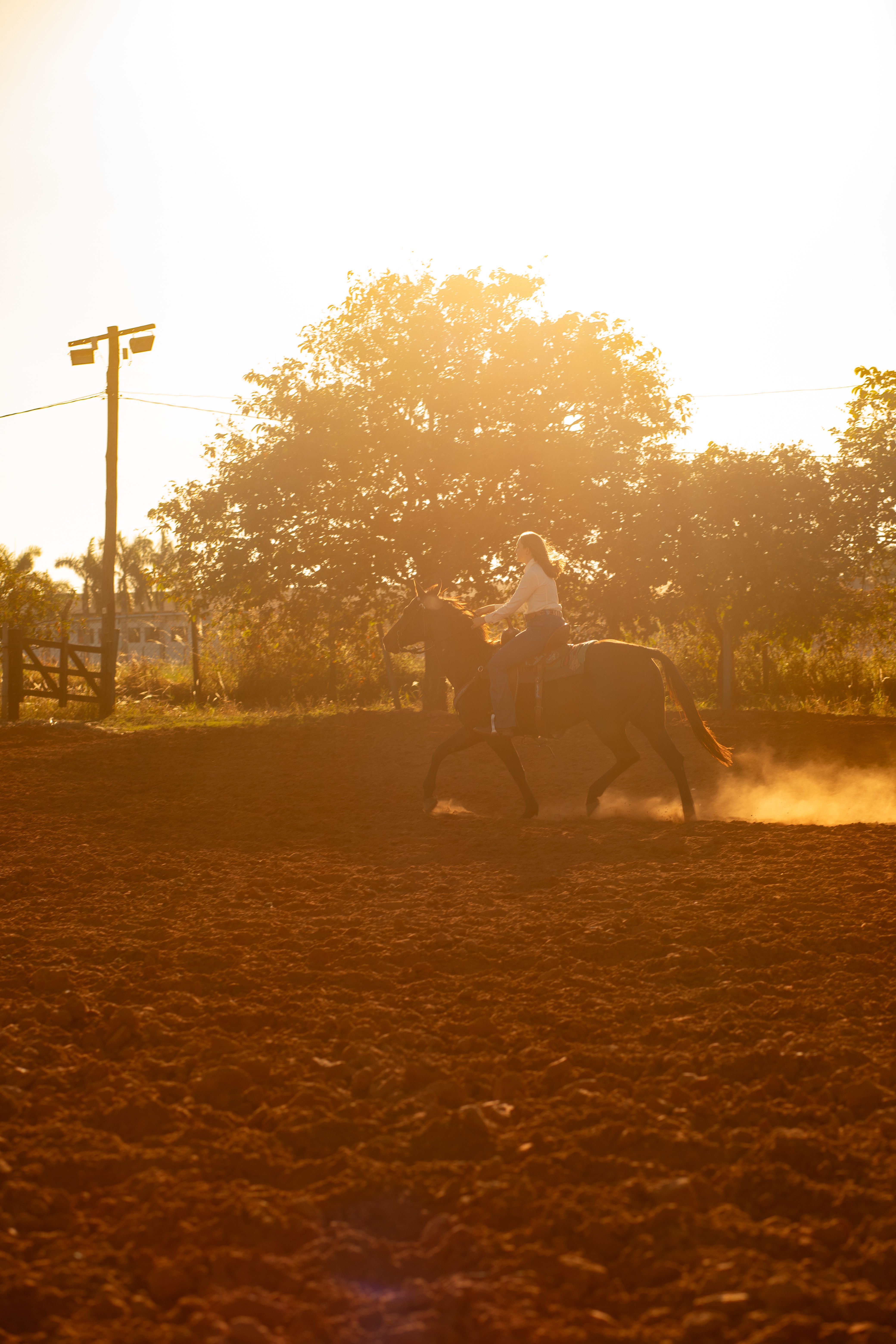 Silhouette of a horseback rider in a dusty arena at sunset, evoking freedom and adventure.
