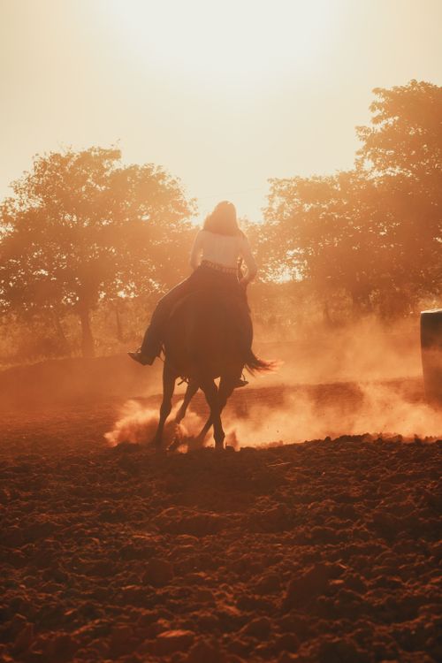 Free A rider on horseback creates a dramatic silhouette against a vivid sunset, captured on a dusty trail. Stock Photo