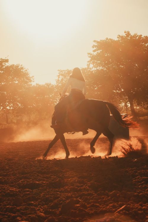 Free Dynamic silhouette of a person riding a horse against a golden sunset backdrop, kicking dust in an open field. Stock Photo