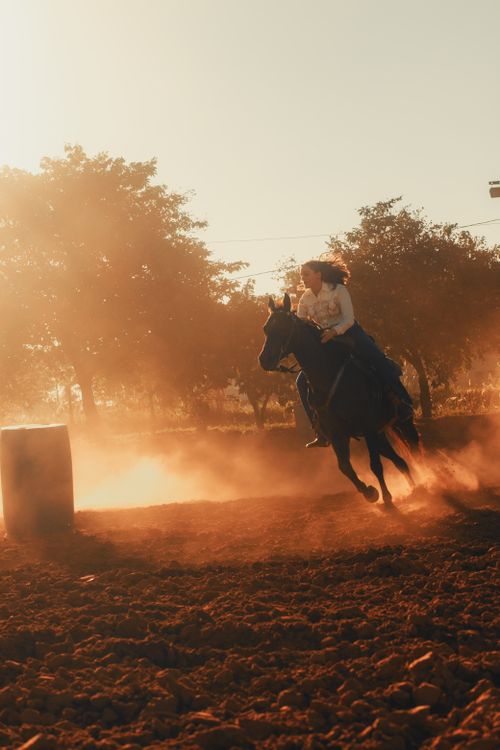 Free Woman on horseback barrel racing at sunset in an outdoor arena. Stock Photo