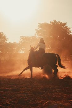Silhouette of a woman on horseback in a dusty field at sunset, creating a dramatic scene.
