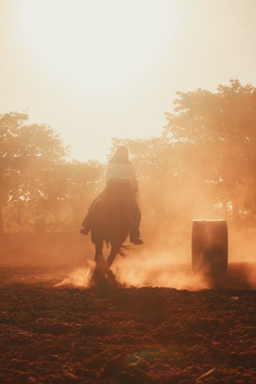 Free Silhouette of a horseback rider in a dusty arena at sunrise. Stock Photo
