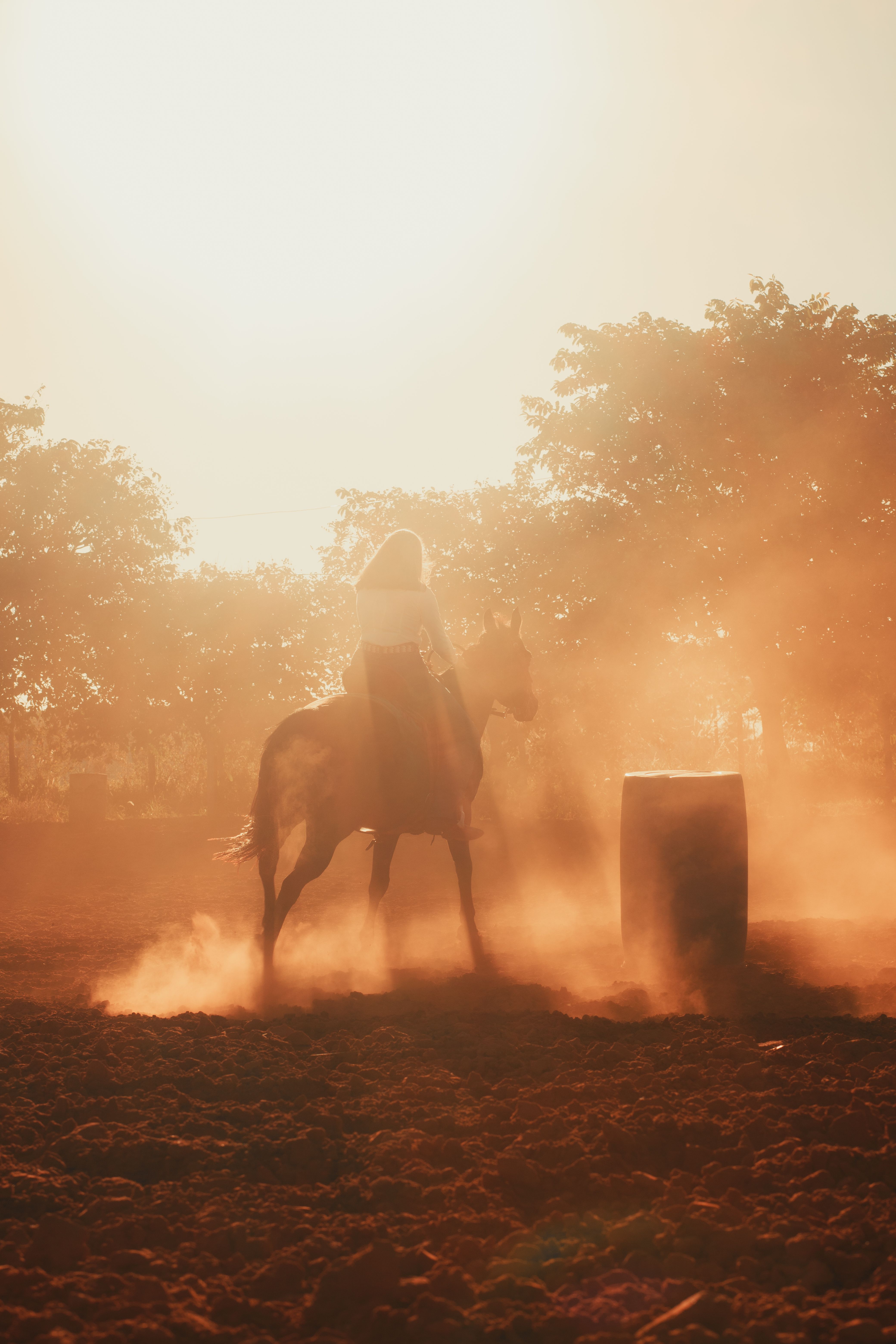Sunset Horseback Riding in Dusty Arena · Free Stock Photo