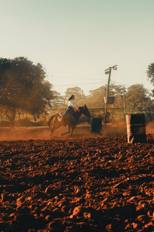 Free Captivating shot of a horse rider competing in a rodeo at sunset, highlighting dynamic action and warm tones. Stock Photo