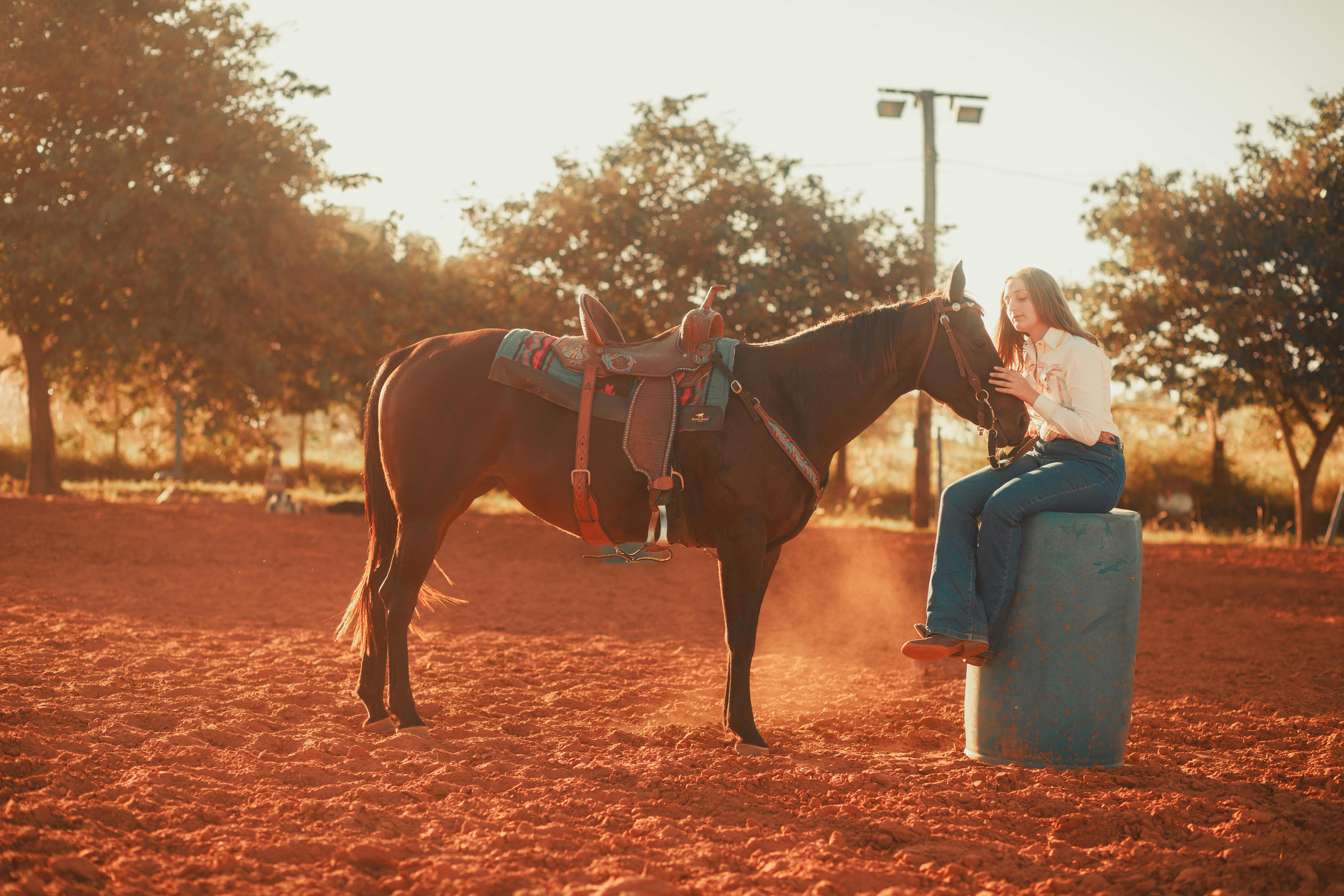 UF adds Western canon-focused courses to general education — Photo by Breno Cardoso on Pexels