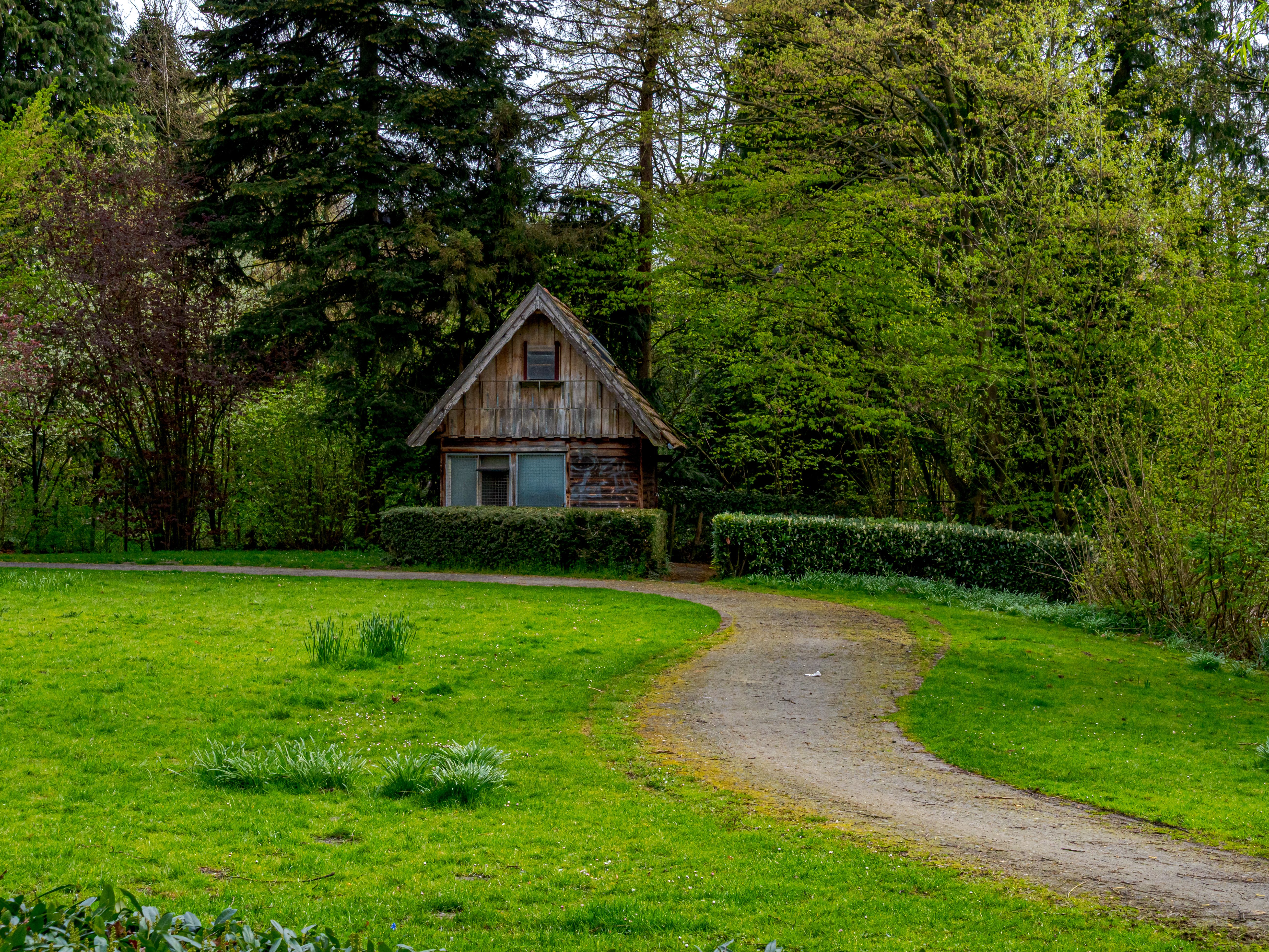 Modernes Gartenbüro umgeben von Natur
