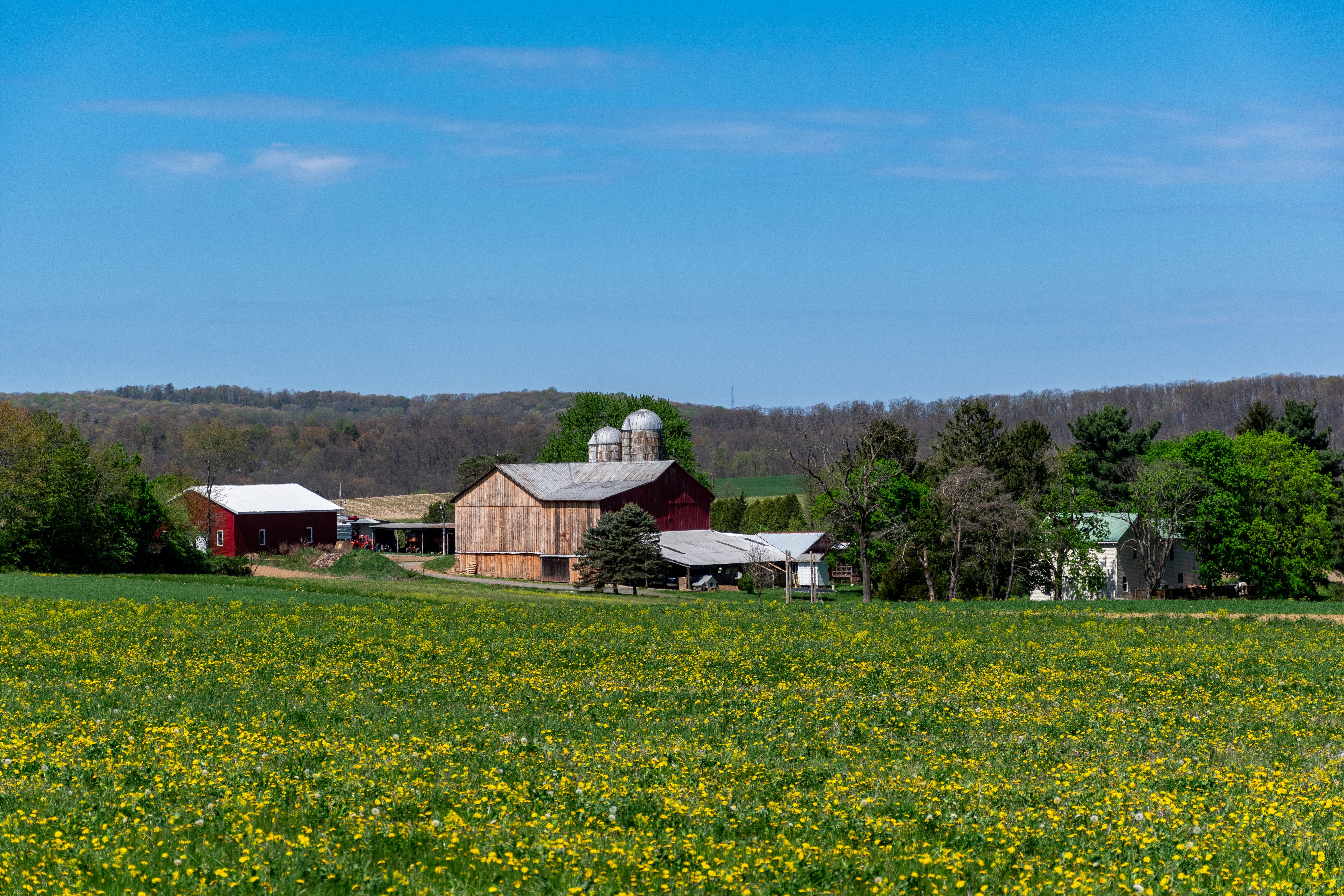 Stark County Job &amp; Family Services to hold foster parenting meetings — Photo by Michael S on Pexels