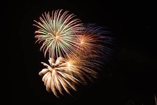 五彩缤纷的烟花直冲夜空，照亮了黑暗