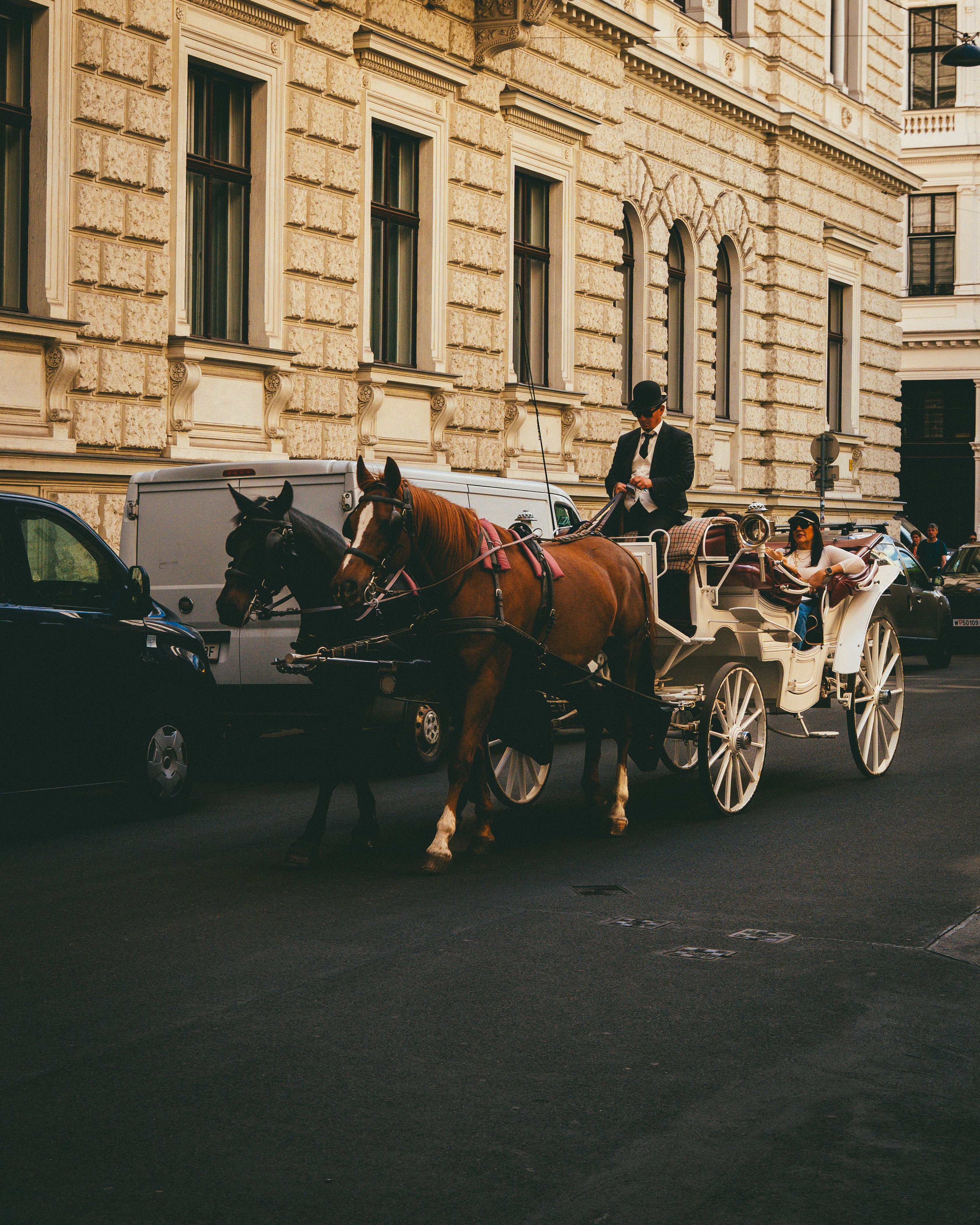Elegant horse-drawn carriage ride through a historic city street with classic architecture.