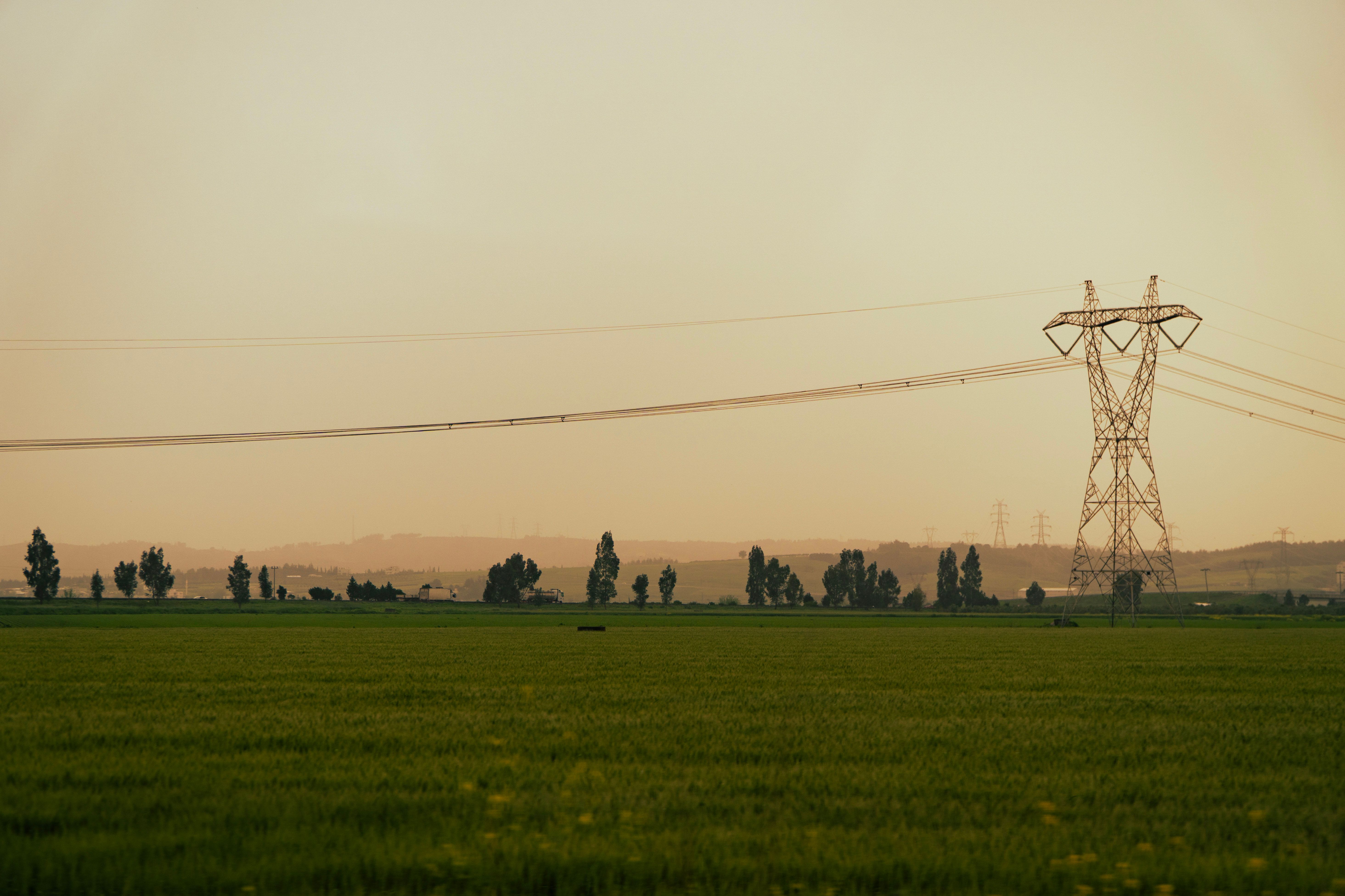 Vast green field with high-voltage power lines silhouetted against a dusk sky, capturing serene rural landscapes.