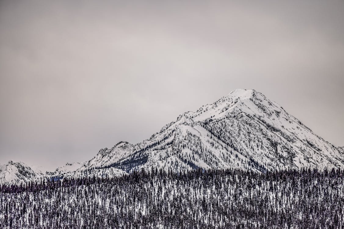 Gratis lagerfoto af alpin, betagende, bjerg