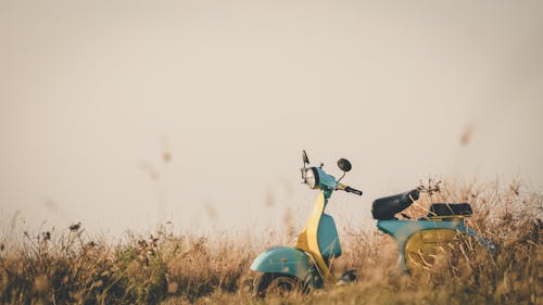 Vintage blue and yellow motorcycle parked on lawn amidst flowers and grass in countryside on clear day