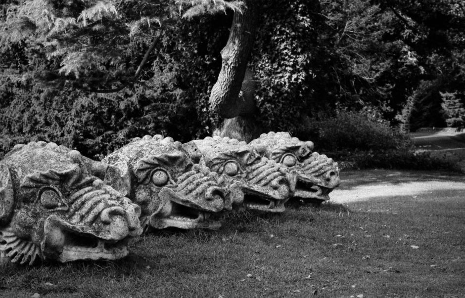 Monochrome photo of four stone dragon head sculptures on grass in a park setting.