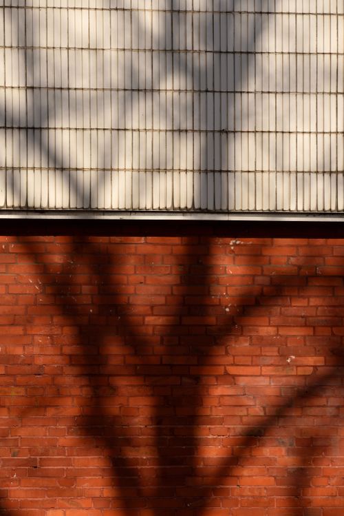 Free Brick wall in Hannover, Germany, with dramatic tree shadows and tiled top section. Stock Photo