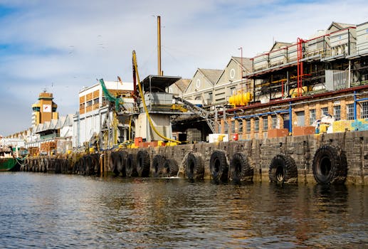 开普敦港工业滨水区的风景中，有船只和建筑物