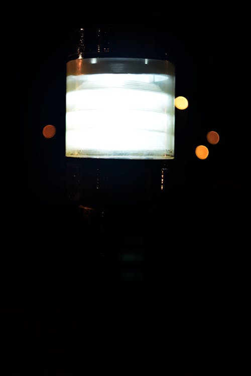 光, 行人路灯 的 免费素材图片