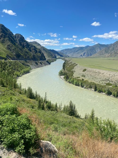 Free Breathtaking summer view of the Katun River winding through the Altai Mountains, surrounded by lush greenery and clear blue skies. Stock Photo