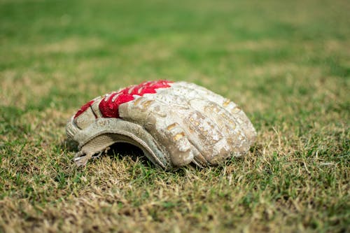 板球手套, 蟋蟀 的 免费素材图片