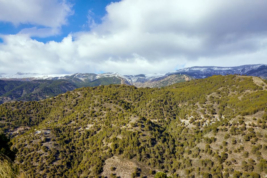 Les Meilleures Villes d'Espagne pour Immigrer en 2026