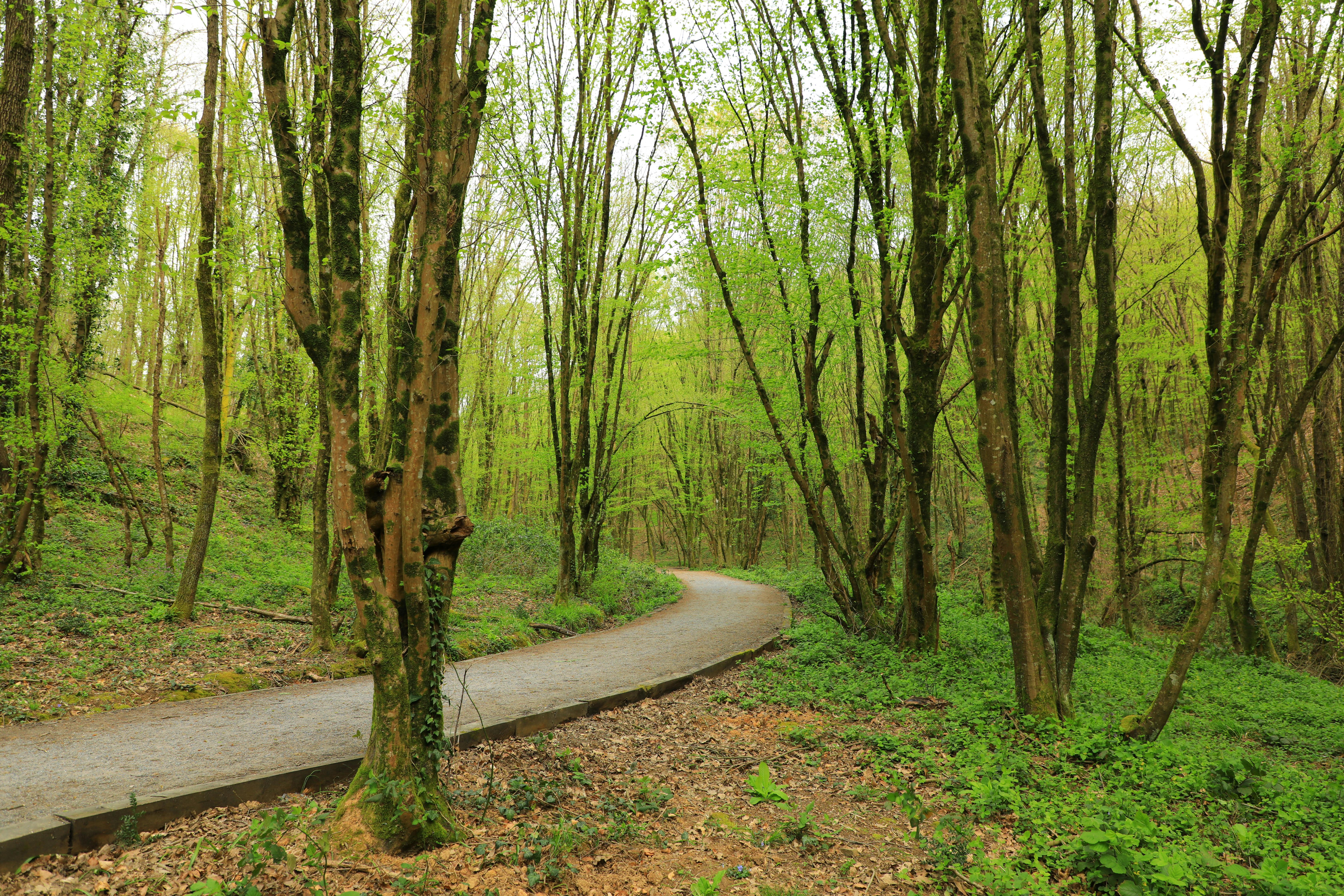 Healthspan White Paper: The Data-Driven Path to Longevity — Photo by MEHMET SÜTLAŞ on Pexels