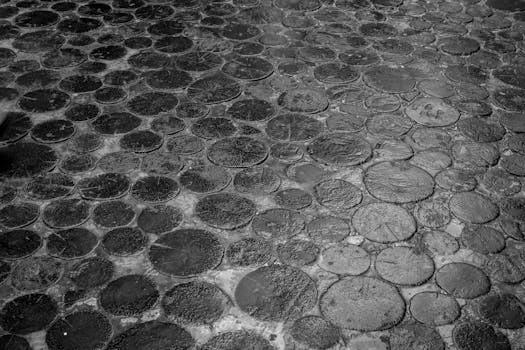 南非开普敦圆形鹅卵石的潮湿纹理详细视图