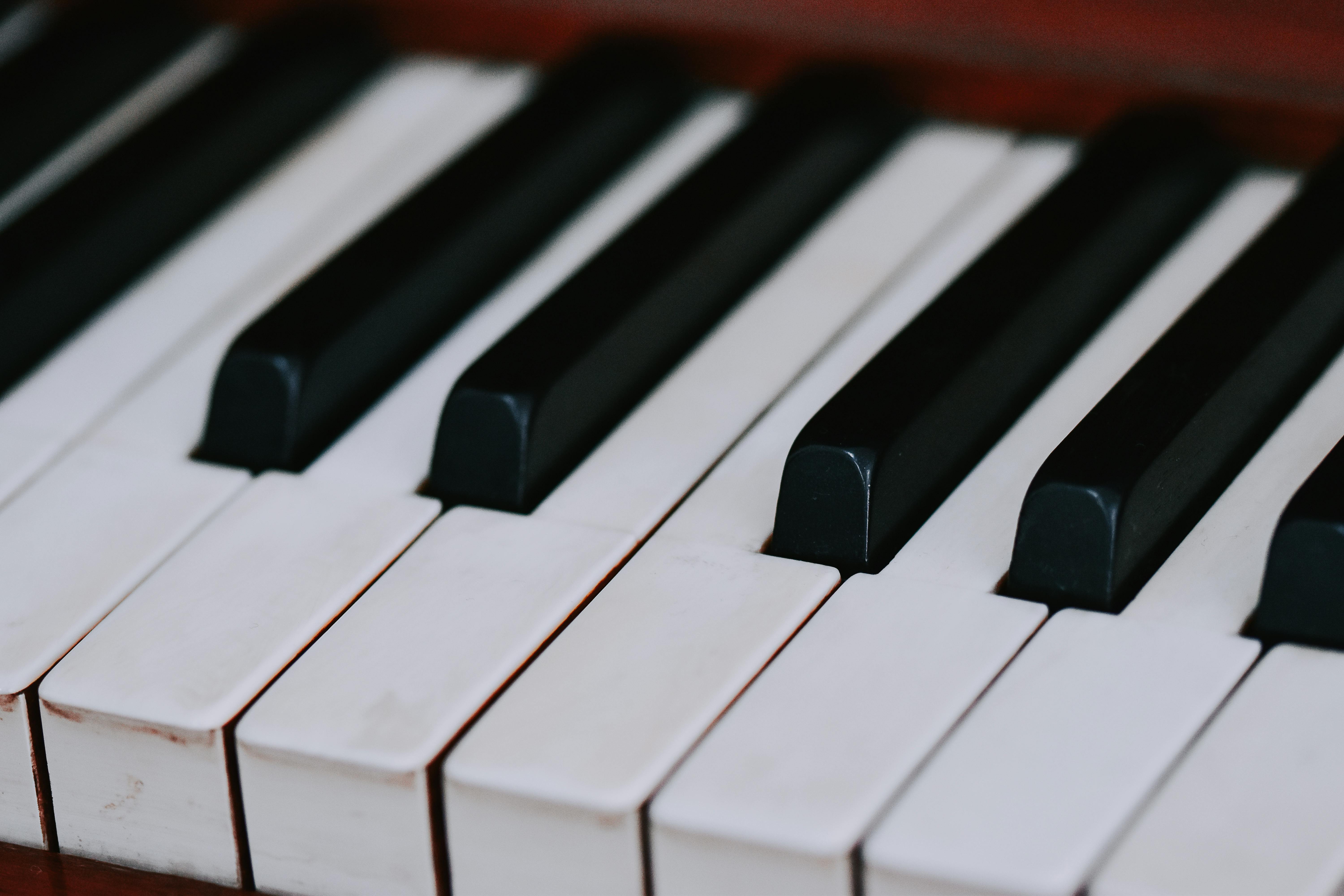 Best Pianos for Beginners in 2026