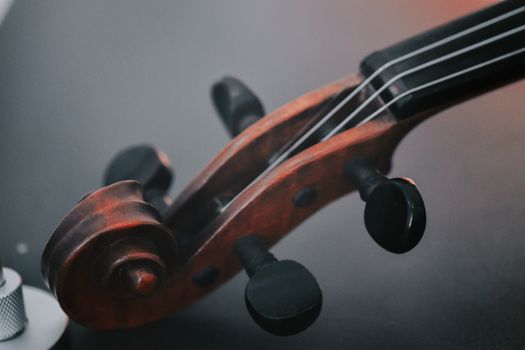 Detailed view of a violin scroll with tuning pegs on a dark background.