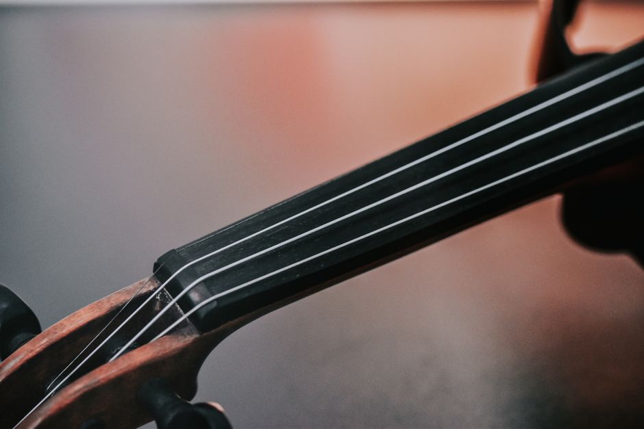 Detailed view of a violin fingerboard showcasing strings and intricate craftsmanship.