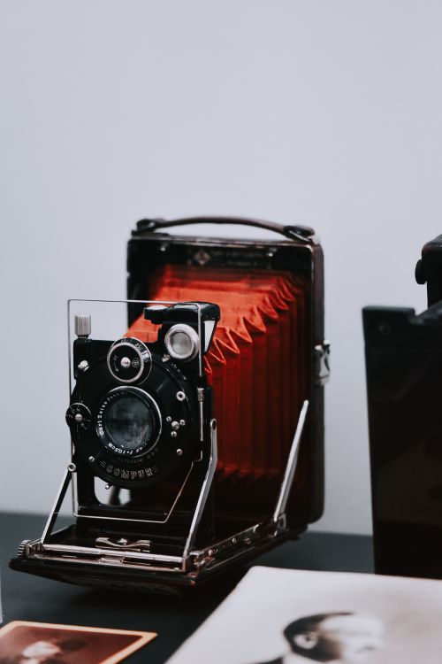 Free A classic bellows camera featured in a minimalist indoor setting on display. Stock Photo