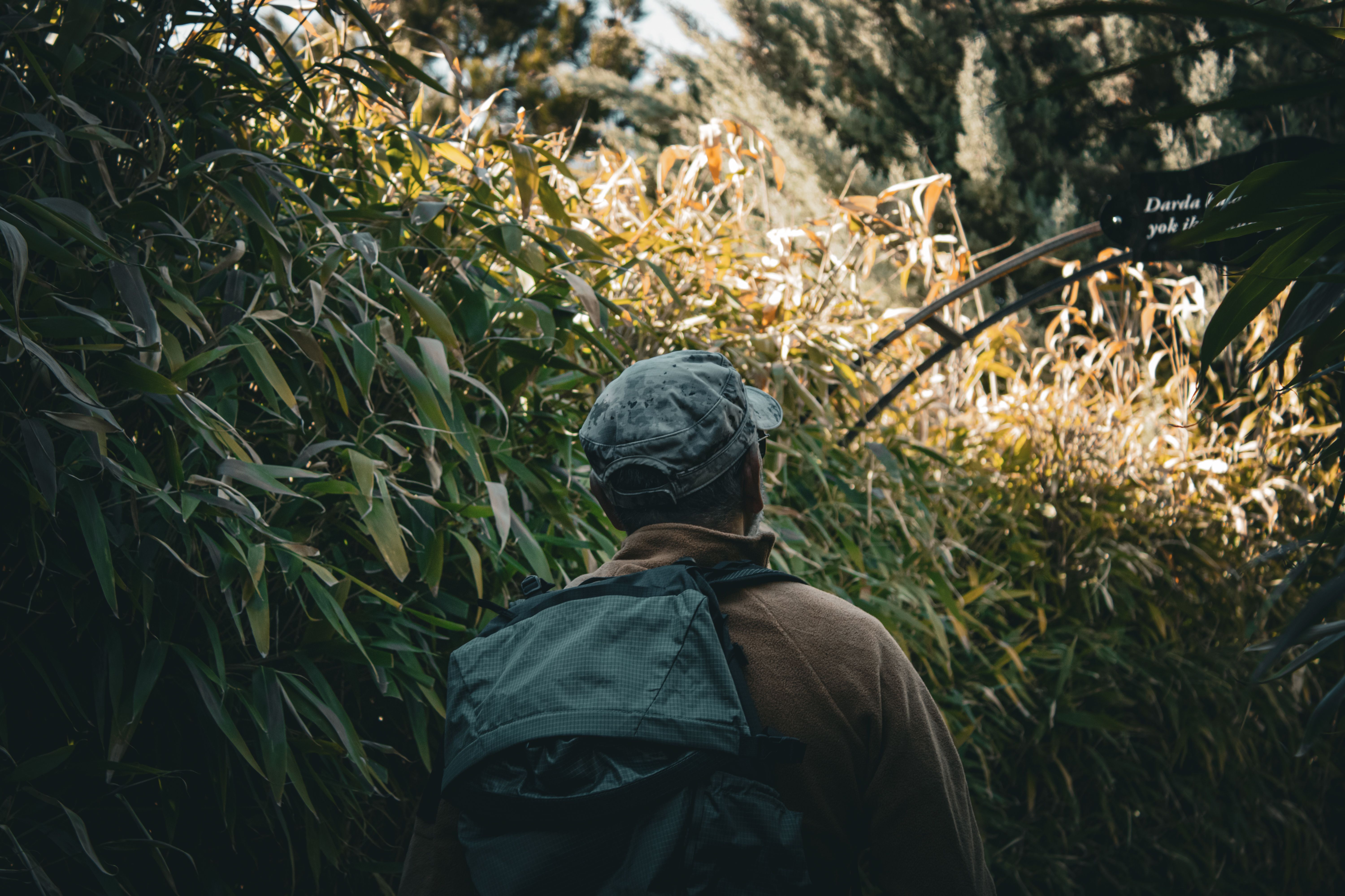 hiker walking Australian bush trail