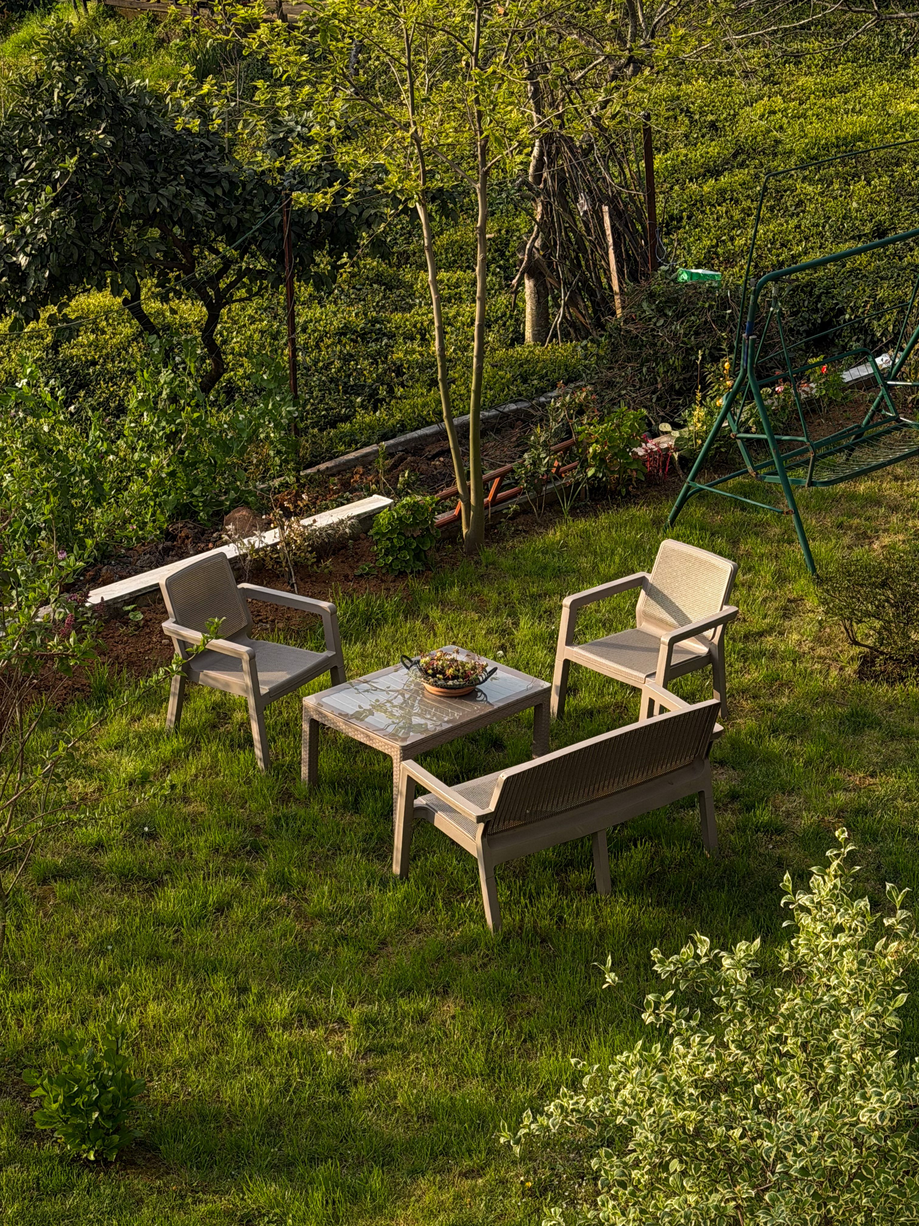 Cozy Outdoor Patio Seating in Sunlit Garden · Free Stock Photo