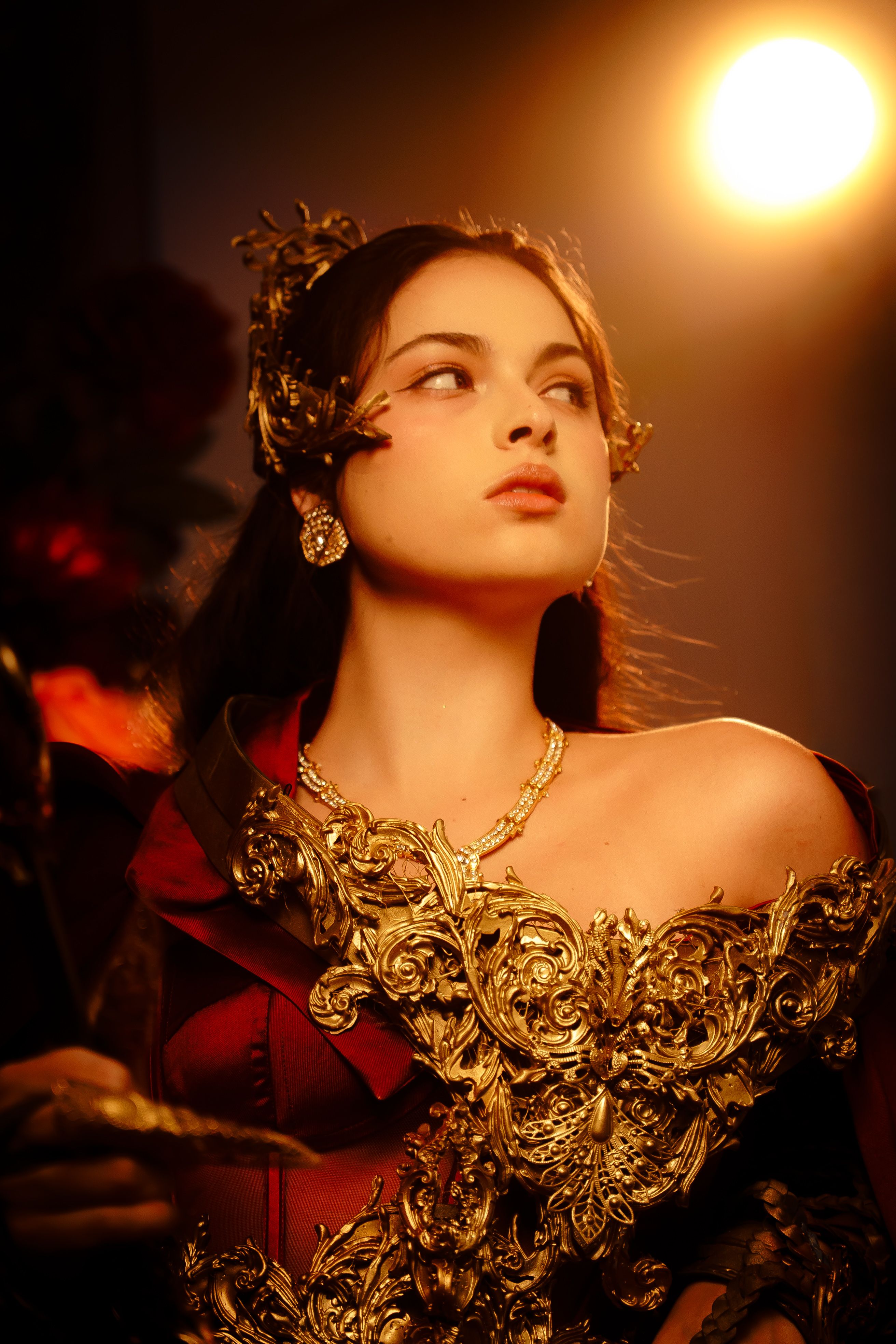 Regal Portrait of a Woman in Ornate Gown · Free Stock Photo