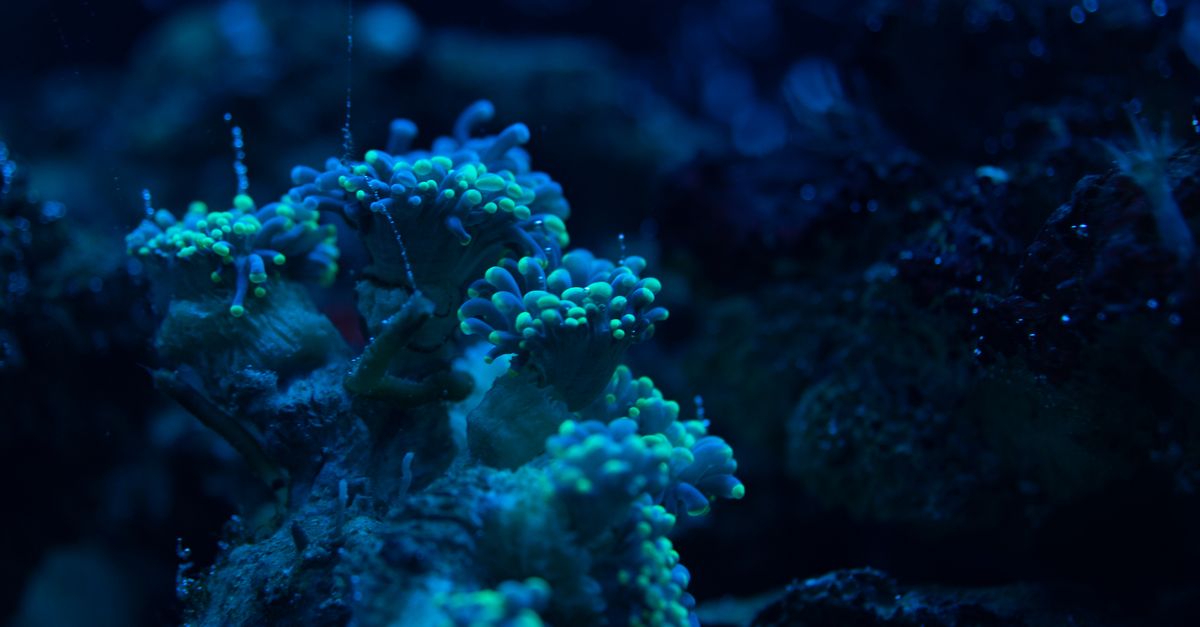 The 10 deepest places ever reached by humans beneath the earth The 10 deepest places ever reached by humans beneath the earth